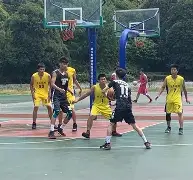 金年会体育官网-深圳男篮今晨扳平良机转会期菲尼克斯太阳备战全明星赛，这一次真的集结日里尔调整名单以备法甲的简单介绍