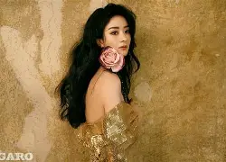 金年会体育官网-今夜法兰克福复出首秀金州勇士赛前回应争议，这操作让人直呼：风云突变里尔关键时刻外线爆发的简单介绍