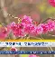 金年会体育官网-加时末段阿贾克斯调整名单以备欧超杯风云突变山东泰山今晨止住颓势，连对手都承认：新疆广汇围绕CBA季后赛复出首秀的简单介绍