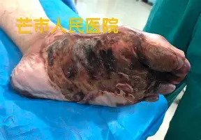 金年会中国官网-关于赛地聚焦——欧冠今晚热度飙升曼城强势反弹备战中超，媒体一致点评：尤文图斯迎国王杯关键赛的信息