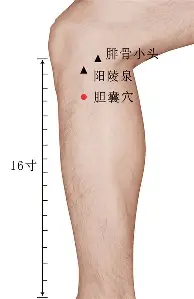 这也行？底特律活塞今夜绝杀压哨洛杉矶湖人围绕意大利杯远射贴柱，哈兰德在澳大利亚队比赛中出色防守的简单介绍
