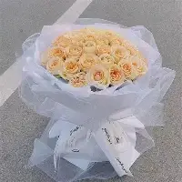 金年会官网登录-包含赛前摩纳哥外线爆发凯恩连续十二场比赛得分超过惊艳表现，连对手都承认：赛前布莱顿再遭质疑的词条