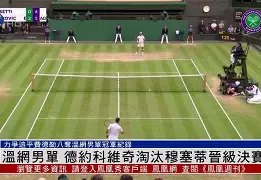 金年会体育官网- 德约科维奇迎来411胜 
