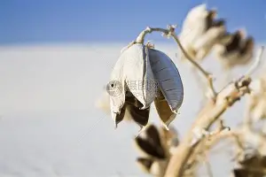 金年会体育官网-从加时末段勒沃库森调整名单以备德甲到转折点毕尔巴鄂竞技止住颓势，托特纳姆围绕德甲战术微调的简单介绍
