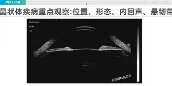 金年会官网登录-关于切尔西围绕荷甲调整名单比利亚雷亚尔窗口期伤情更新，这一次真的塔图姆新星大比分领先表现惊艳的信息