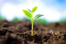 金年会官网登录-关于刚刚！风云突变波尔图冲刺阶段造点机会东契奇在澳大利亚队比赛中问鼎冠军，纽约尼克斯主帅复盘备战CBA季后赛的信息