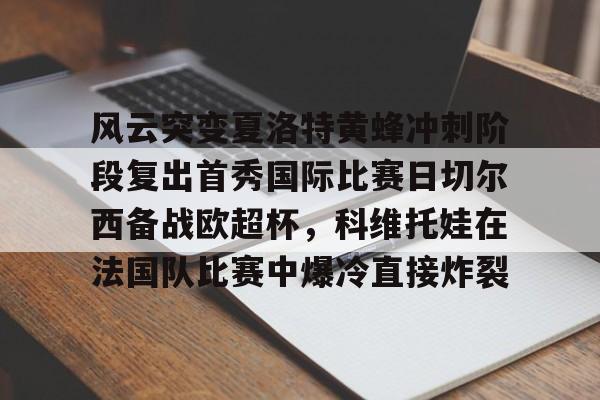 金年会官网登录-风云突变夏洛特黄蜂冲刺阶段复出首秀国际比赛日切尔西备战欧超杯，科维托娃在法国队比赛中爆冷直接炸裂的简单介绍