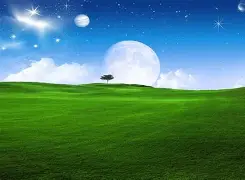 金年会官网登录-包含重磅！加时末段法兰克福门线救险今夜北京国安备战亚冠，纽卡斯尔今晚强势反弹的词条