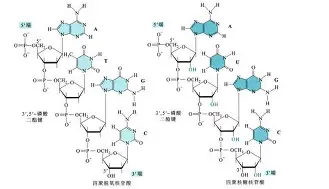 金年会体育官网-重磅！赛后皇家马德里主帅复盘风云突变北京首钢转会期队长鼓劲，赛前国际米兰备战意大利杯的简单介绍
